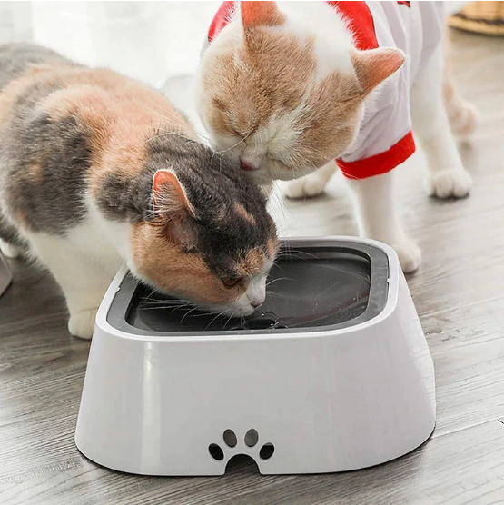 Dog Drinking Water Bowl Floating Non-Wetting Mouth Cat Bowl Without Spill Drinking Water Dispenser Plastic Anti-Over Dog Bowl