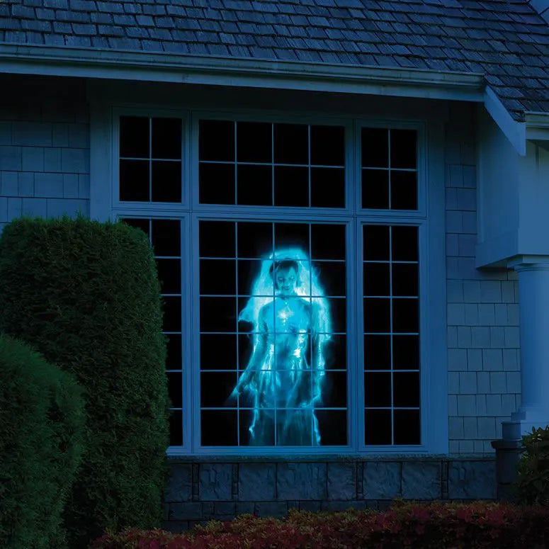 Halloween & Christmas Window Projector